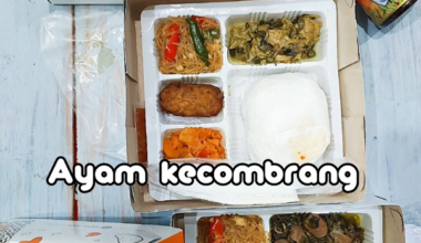 nasi kotak dadakan